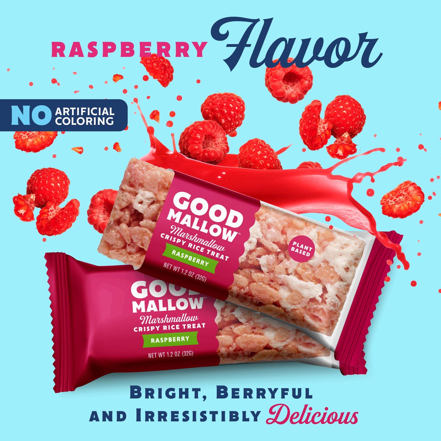 Vegan Rice Crispy Treats Individually Wrapped Box of 8