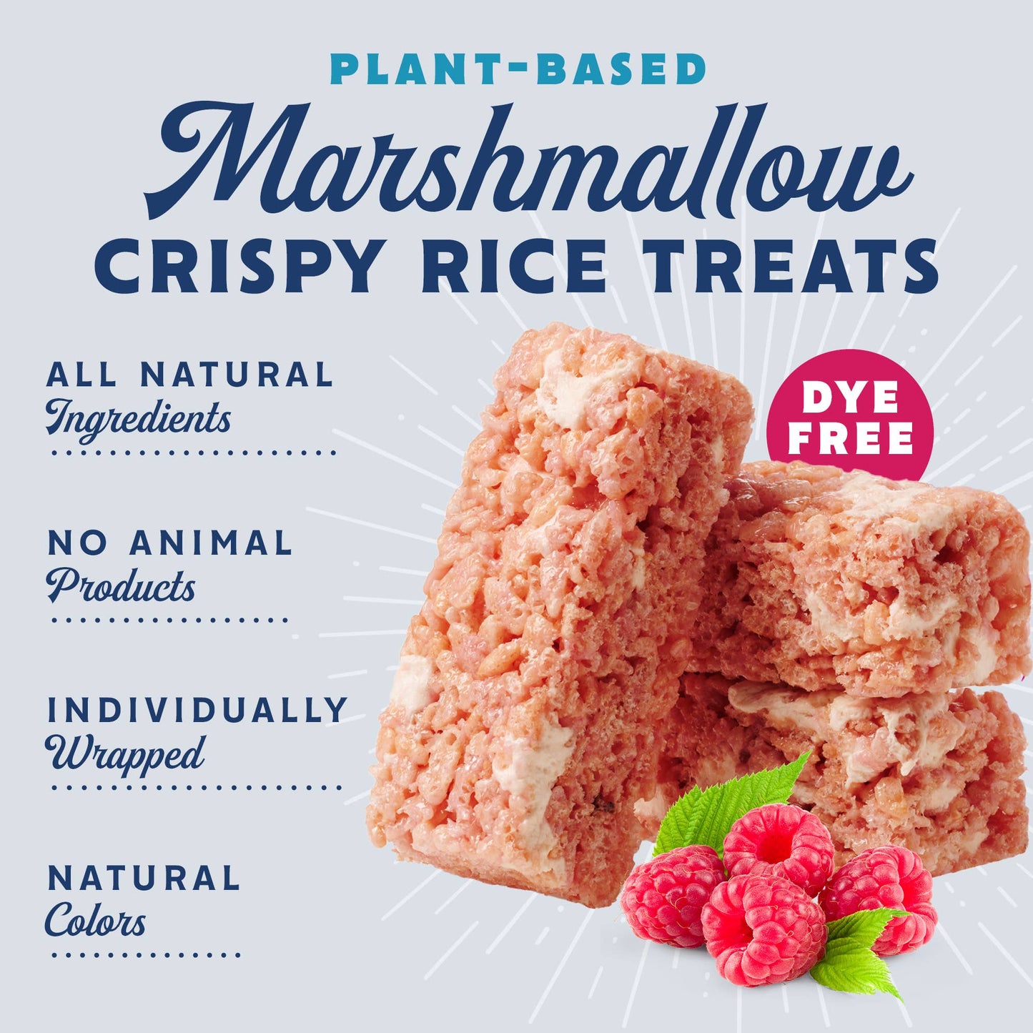 Vegan Rice Crispy Treats Individually Wrapped Box of 8